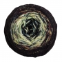 Malabrigo Sock Amelie