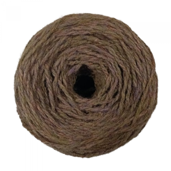 Pāce 6/2 Sūnās slēpušās brūklenes