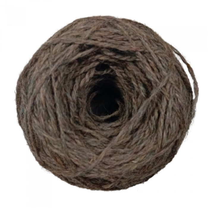 Pāce 6/2 Zāle sapinusies sūnās