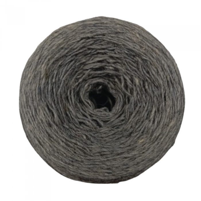 Pāce 6/1 Sudraba bārda